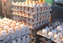Harga Telur, Bawang, Cabai di Segiri Kompak Naik Menjelang Ramadan